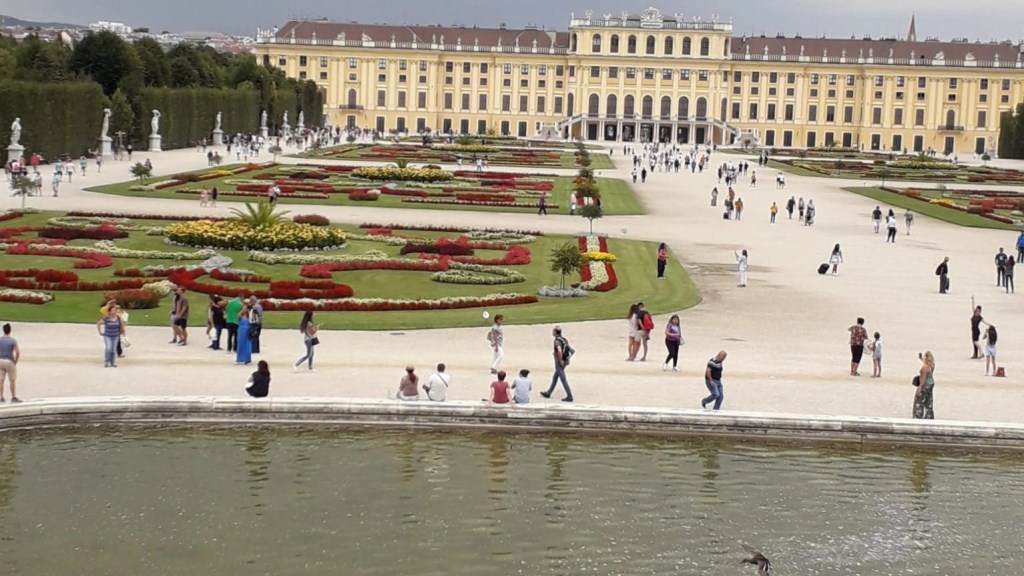 Viena, bine te-am&nbsp;găsit!